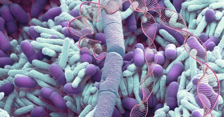 TAJEMNICZA MIKROBIOTA czyli… Międzynarodowe Obserwatorium Mikrobioty Edycja nr 2 – 2024