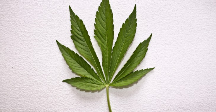 Legalizacja medycznej marihuany