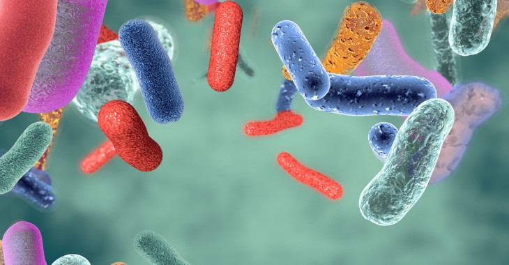 Co to jest mikrobiota?